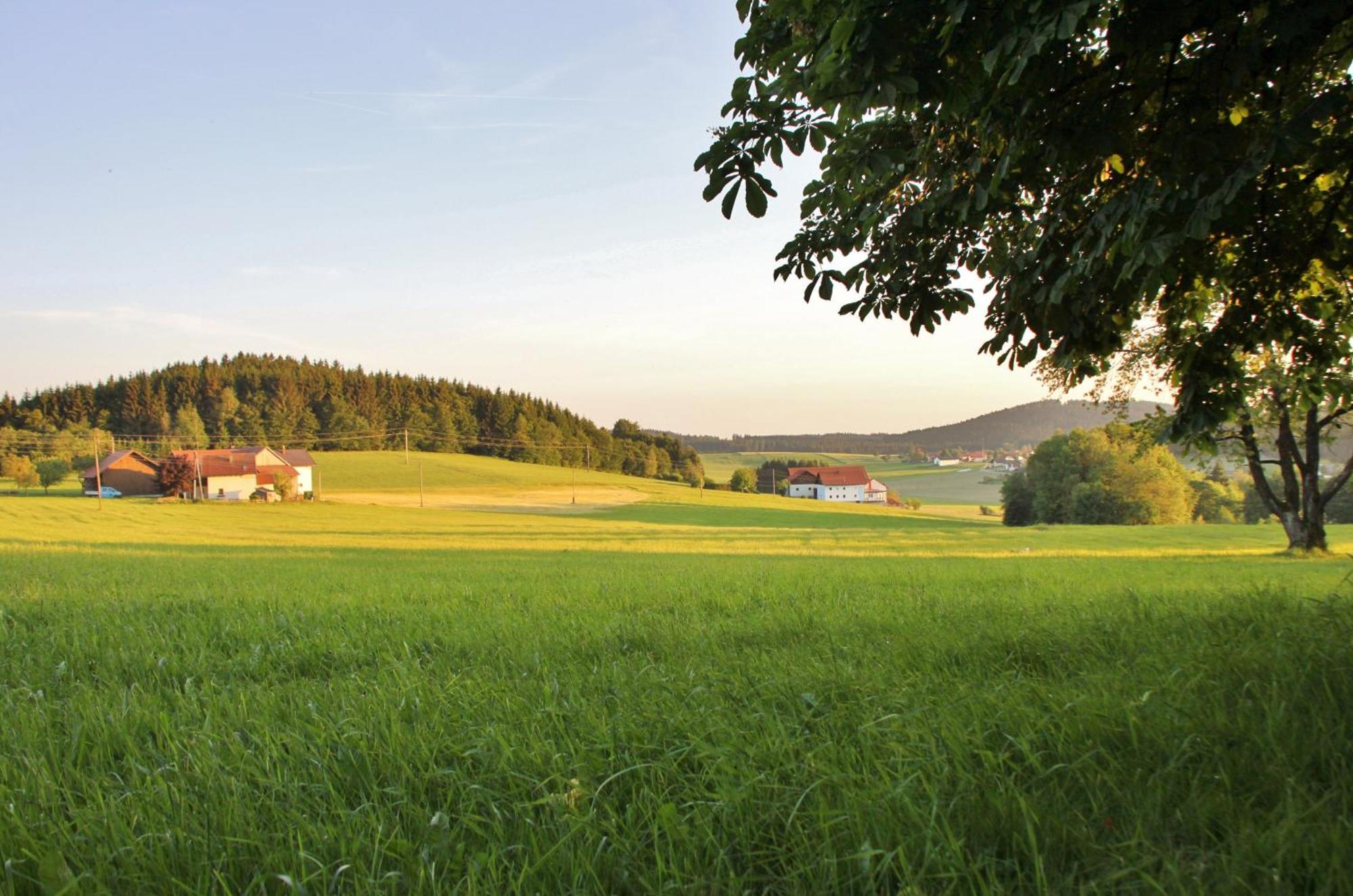 Gasthof-Pension Zum Haugstein - Familie Eder Энгельхартсцелль Экстерьер фото
